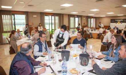 VinEspaña premia diecisiete vinos DOP Jumilla