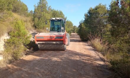 En lo que va de año se han acondicionado más de 130 km de caminos rurales