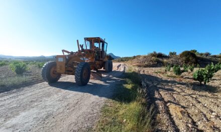 La Junta Local aprueba la memoria de las obras de acondicionamiento de varios caminos rurales