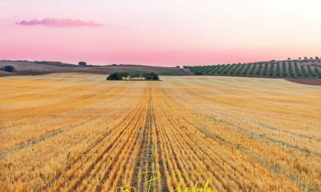 Temperaturas típicas de verano para el último fin de semana de julio