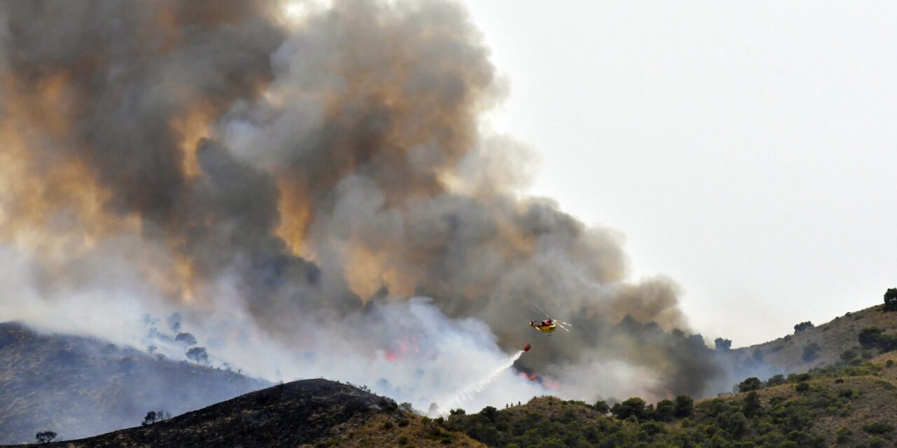 El incendio de La Patoja ha sido uno de los más devastadores del verano en la Región