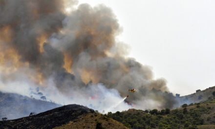El incendio de La Patoja ha sido uno de los más devastadores del verano en la Región