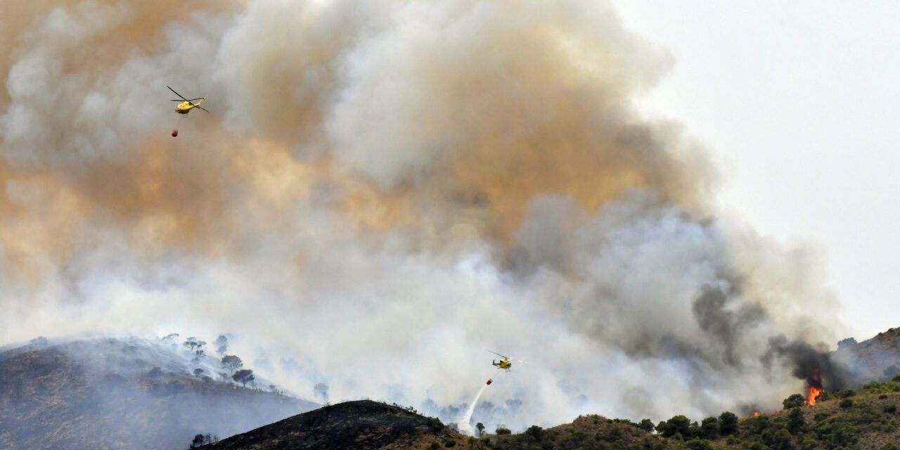 El Gobierno declara  Jumilla como zona catastrófica por el incendio en La Patoja