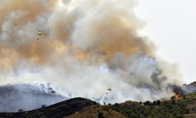 El Gobierno declara  Jumilla como zona catastrófica por el incendio en La Patoja