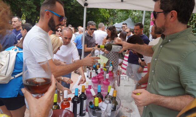 La miniferia de ASEVIN reúne a más de 2.000 personas en torno a los vinos que ofrecían una quincena de bodegas