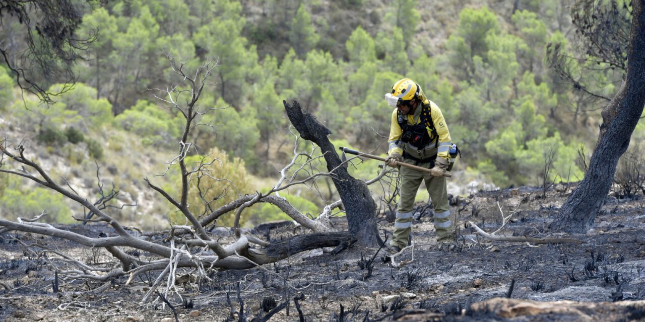El Consejo de Ministros declara zona catastrófica el área afectada por el incendio de La Patoja en Jumilla