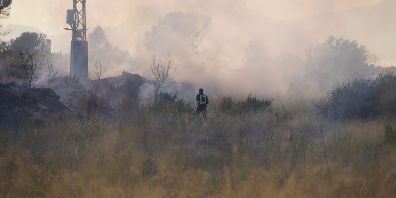 Jumilla ha sido la “gran perjudicada” a nivel regional por incendios forestales