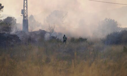 Jumilla ha sido la “gran perjudicada” a nivel regional por incendios forestales