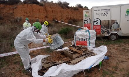 El Ayuntamiento realiza la limpieza de 2 vertederos ilegales con residuos tóxicos