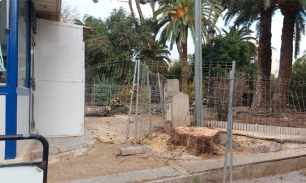 Izquierda Unida “lamenta” la tala de árboles en el jardín del Caracol