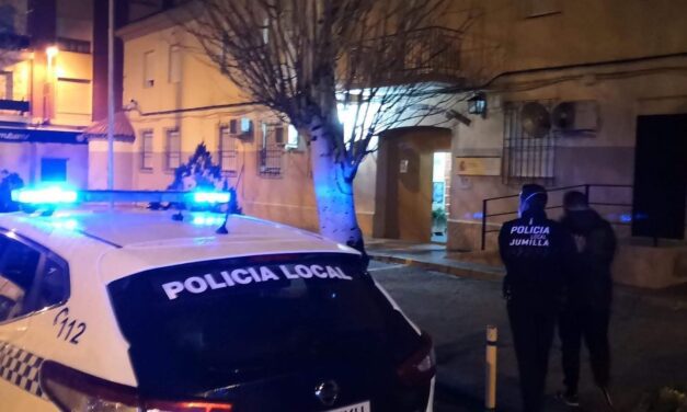 Detenidos dos individuos por la comisión de cerca de 20 robos en viviendas