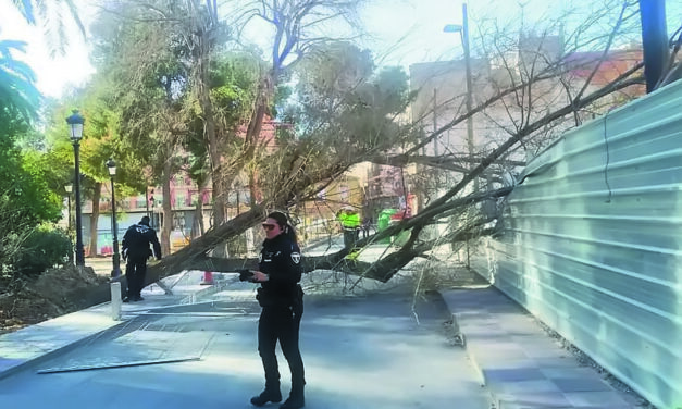 Llegó el invierno a Jumilla, con frío, nieve e incidentes debido a las rachas de viento