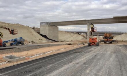 Hallan en las obras de la A-33 un yacimiento con 6.000 fósiles de hace 7 millones de años