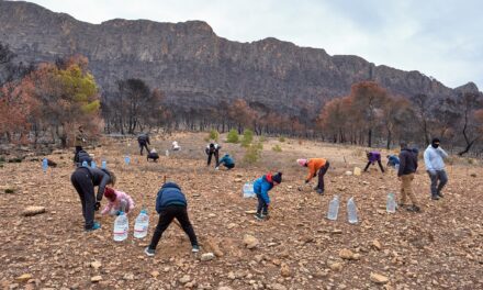 Más de un centenar de voluntarios participan en la reforestación de la Sierra Larga