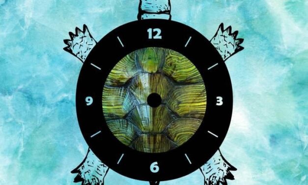 «Momo» llega al Vico este domingo, y espera al público familiar