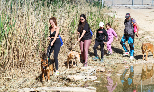 Medio centenar de personas pasearon a 20 perros del albergue