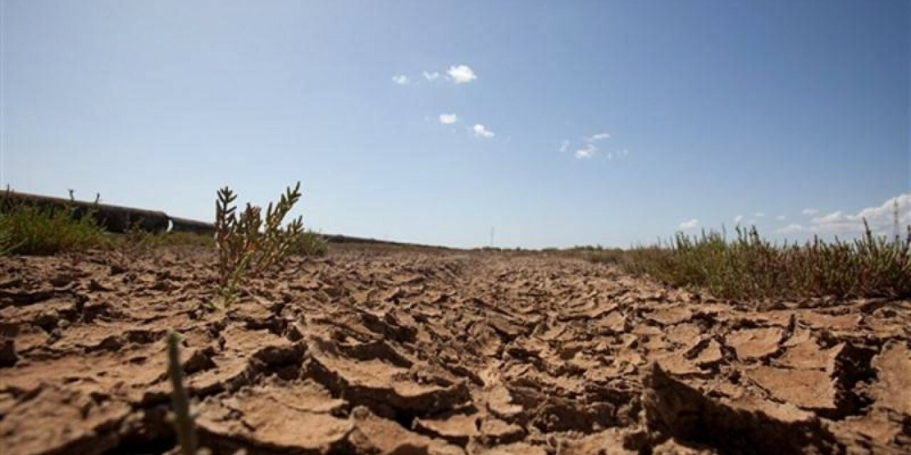 “En el campo se atraviesa una situación muy grave, con un panorama lamentable y un año dramático”