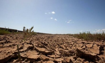 “En el campo se atraviesa una situación muy grave, con un panorama lamentable y un año dramático”