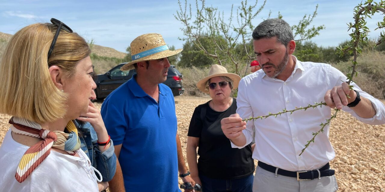 El consejero de Agricultura, Antonio Luengo, vuelve a reclamar en Jumilla el riego de socorro para los cultivos