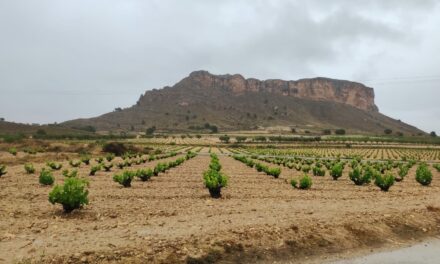 Las lluvias como consecuencia de la dana, dejan en varios parajes, datos de acumulados de más de 60 litros