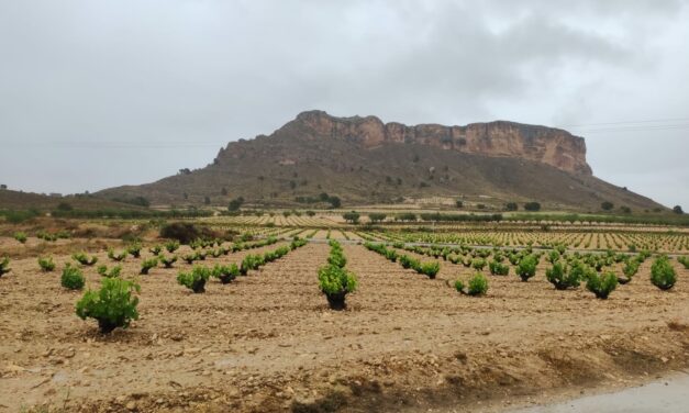 Las lluvias como consecuencia de la dana, dejan en varios parajes, datos de acumulados de más de 60 litros