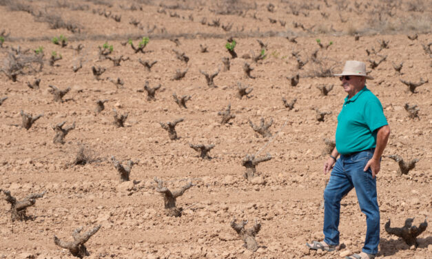 Pedro García de Coag: “Debido a la sequía, el campo en Jumilla se encuentra en la UVI”
