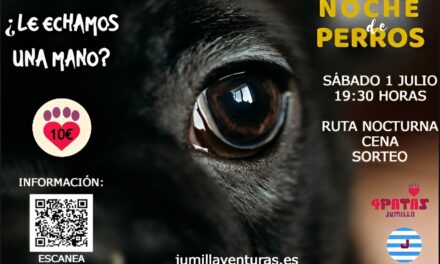 Este sábado se celebra ‘Noche de perros’, una ruta nocturna por La Pedrera donde puedes llevar a tu perro