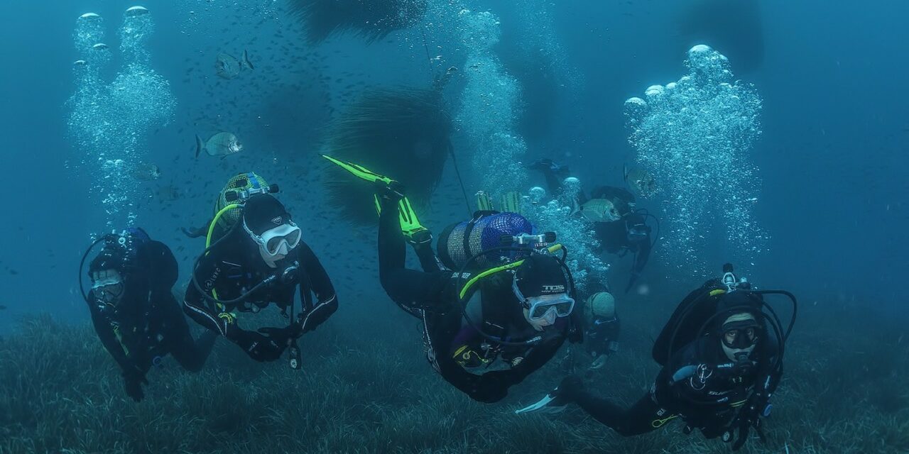 Miembros del Grupo Hinneni disfrutan de dos jornadas de buceo en Calabardina