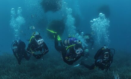 Miembros del Grupo Hinneni disfrutan de dos jornadas de buceo en Calabardina