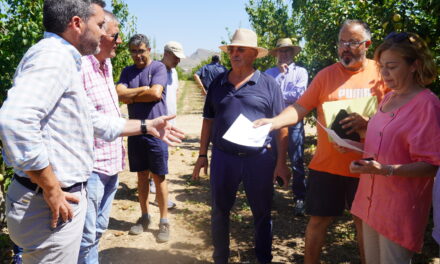 El consejero de Agricultura pide zona catastrófica para las parcelas afectadas por el reventón térmico