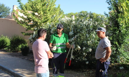 Jardines y Medio Ambiente realiza el mantenimiento de zonas verdes en La Estacada