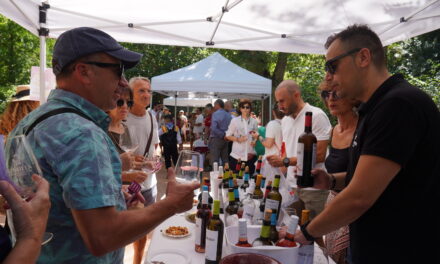 La Federación de Peñas organiza por primera vez la gran miniferia del vino