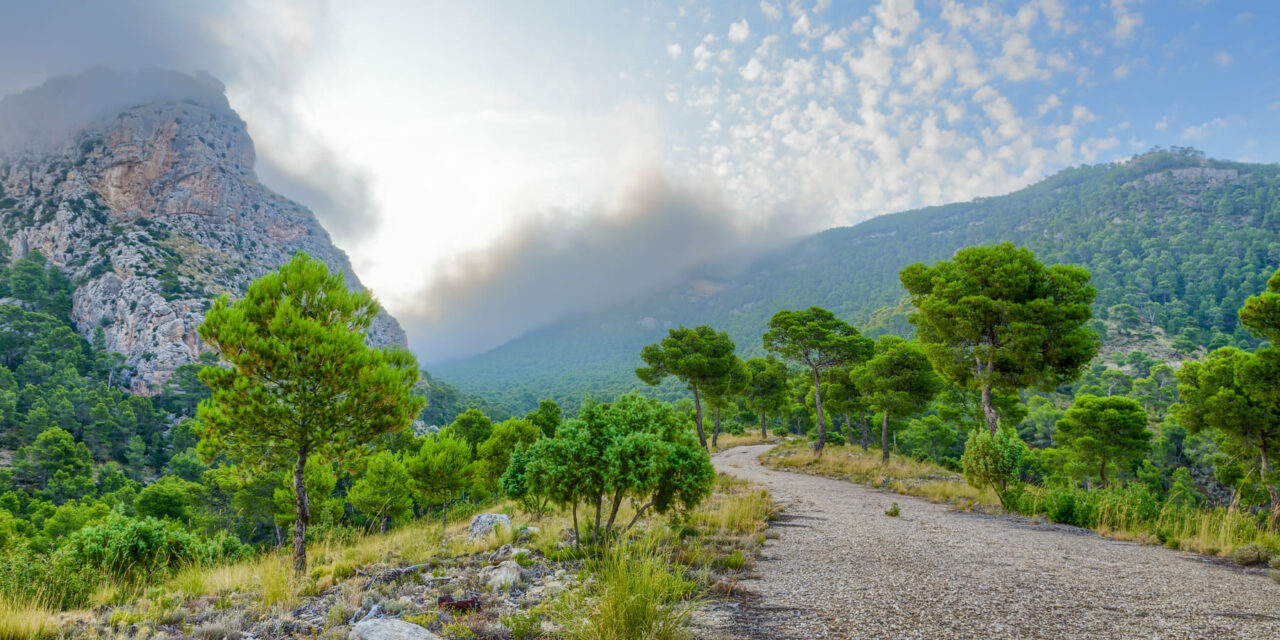 Stipa organiza la Ruta de Feria que transcurrirá este año por la Sierra de la Cingla y las Pozas