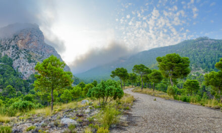 Stipa organiza la Ruta de Feria que transcurrirá este año por la Sierra de la Cingla y las Pozas