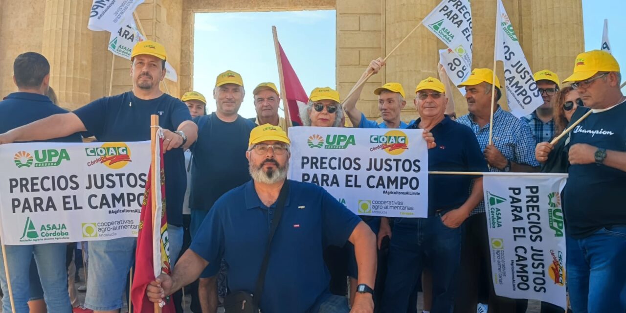 Agricultores de Jumilla viajan hasta Córdoba para exigir un cambio en la política agraria