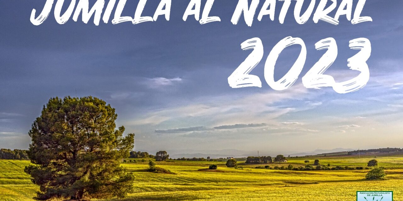 Stipa selecciona fotografías de Jumilla para su calendario 2024