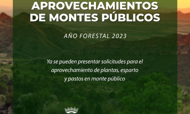 El Ayuntamiento publica el Plan de Aprovechamiento de montes de utilidad para el año forestal 2023