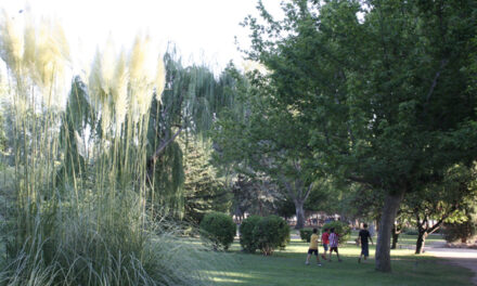 Aprobado el expediente para las obras de la restauración paisajística del Jardín Botánico