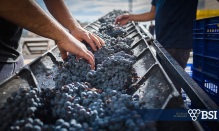 Las coyunturas internacionales provocan un descenso en las exportaciones de vino