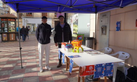 Nuevas Generaciones del PP ha realizado una recogida de juguetes y alimentos