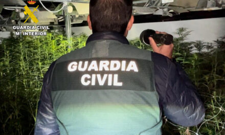 La Guardia Civil desmantela en Jumilla un invernadero con mil plantas de marihuana