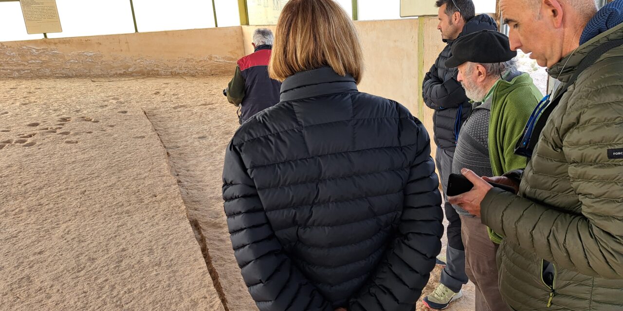 Geólogos, paleontólogos y alumnos de un curso de Patrimonio Minero y Geológico visitan la Hoya de la Sima