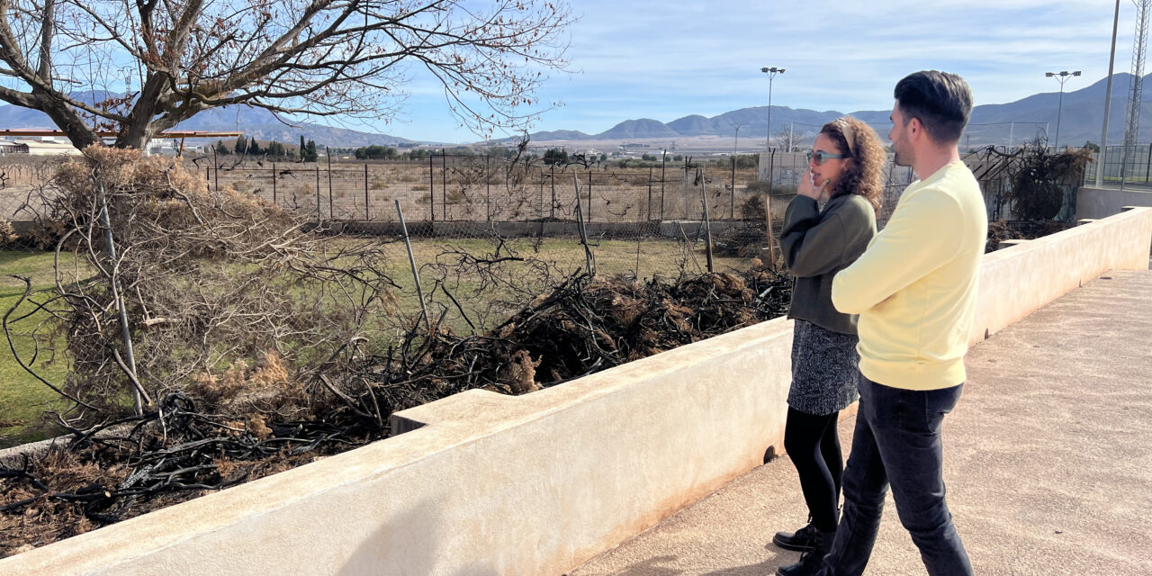 La crónica policial de sucesos, pasa por un incendio provocado y cuatro detenciones por robo con fuerza