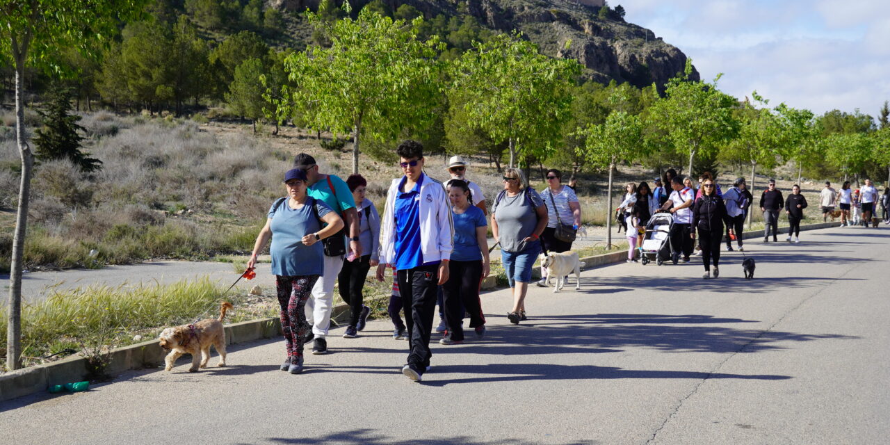 Los perros del albergue salen de ruta con la correa de la solidaridad