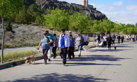 Los perros del albergue salen de ruta con la correa de la solidaridad