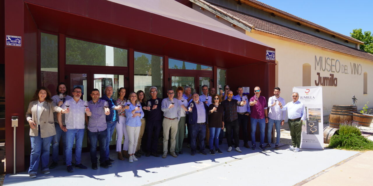 La añada de vinos DOP Jumilla 2023 queda calificada como «muy buena»