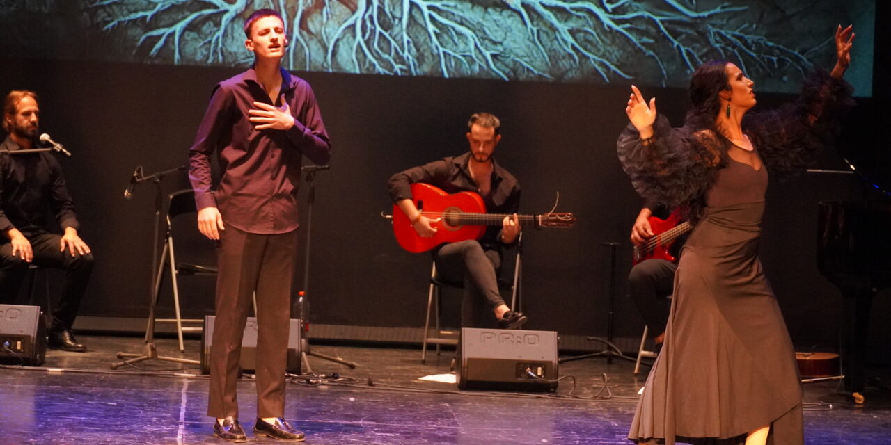 Sentimiento y arte se dieron la mano en la gala flamenca ‘El árbol de la vida’