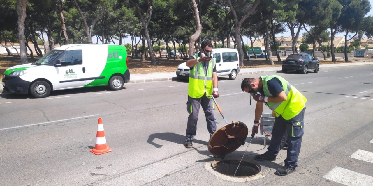 Aguas de Jumilla inicia una campaña para exterminar las cucarachas del alcantarillado