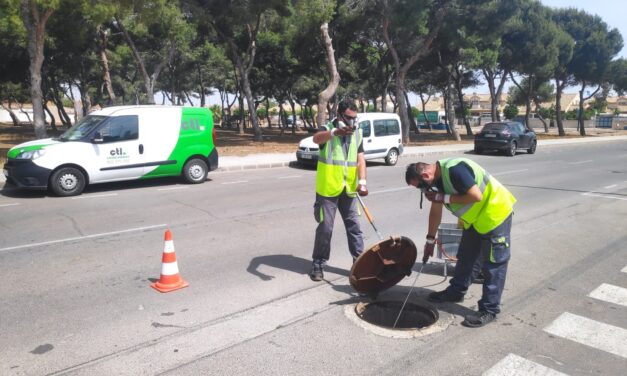 Aguas de Jumilla inicia una campaña para exterminar las cucarachas del alcantarillado