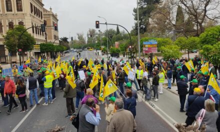 Más de 500 agricultores y ganaderos se concentran ante la Delegación del Gobierno